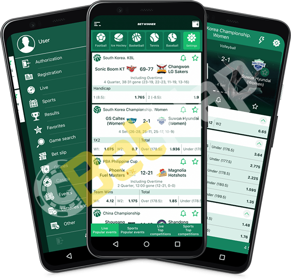 برنامج شركاء بيتوينر في مصر كل ما تحتاج لمعرفته برنامج شركاء بيتوينر في مصر كل ما تحتاج لمعرفته